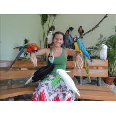 Half Day Tour KL City Garden Ex-KL